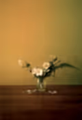 Flowers from Connor - Triptych