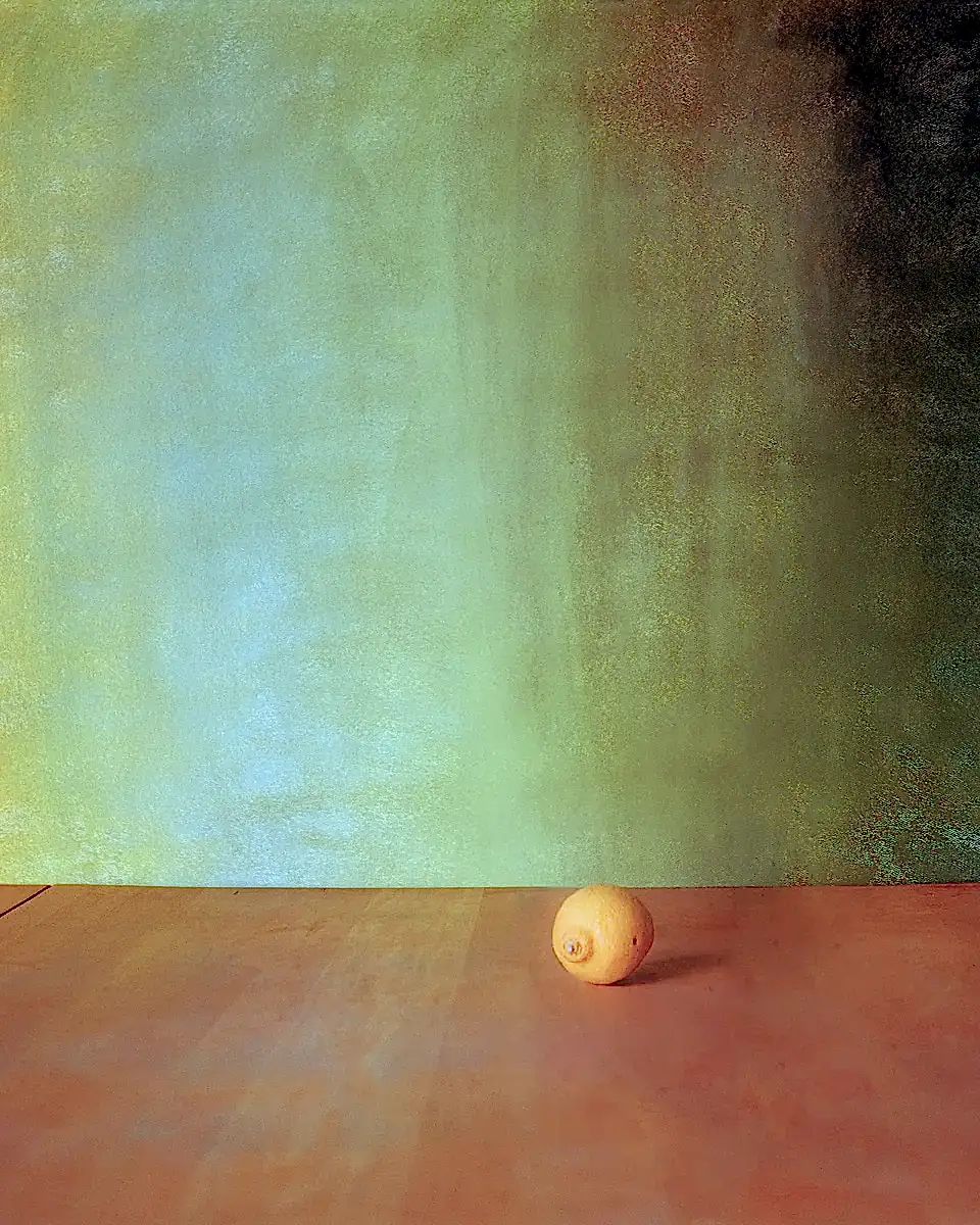 Still Lifes