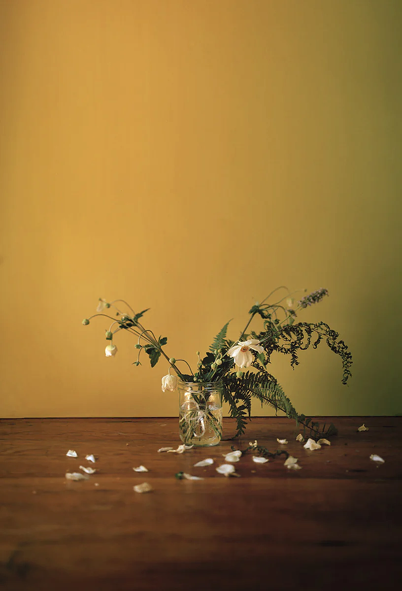 Flowers from Connor - Triptych