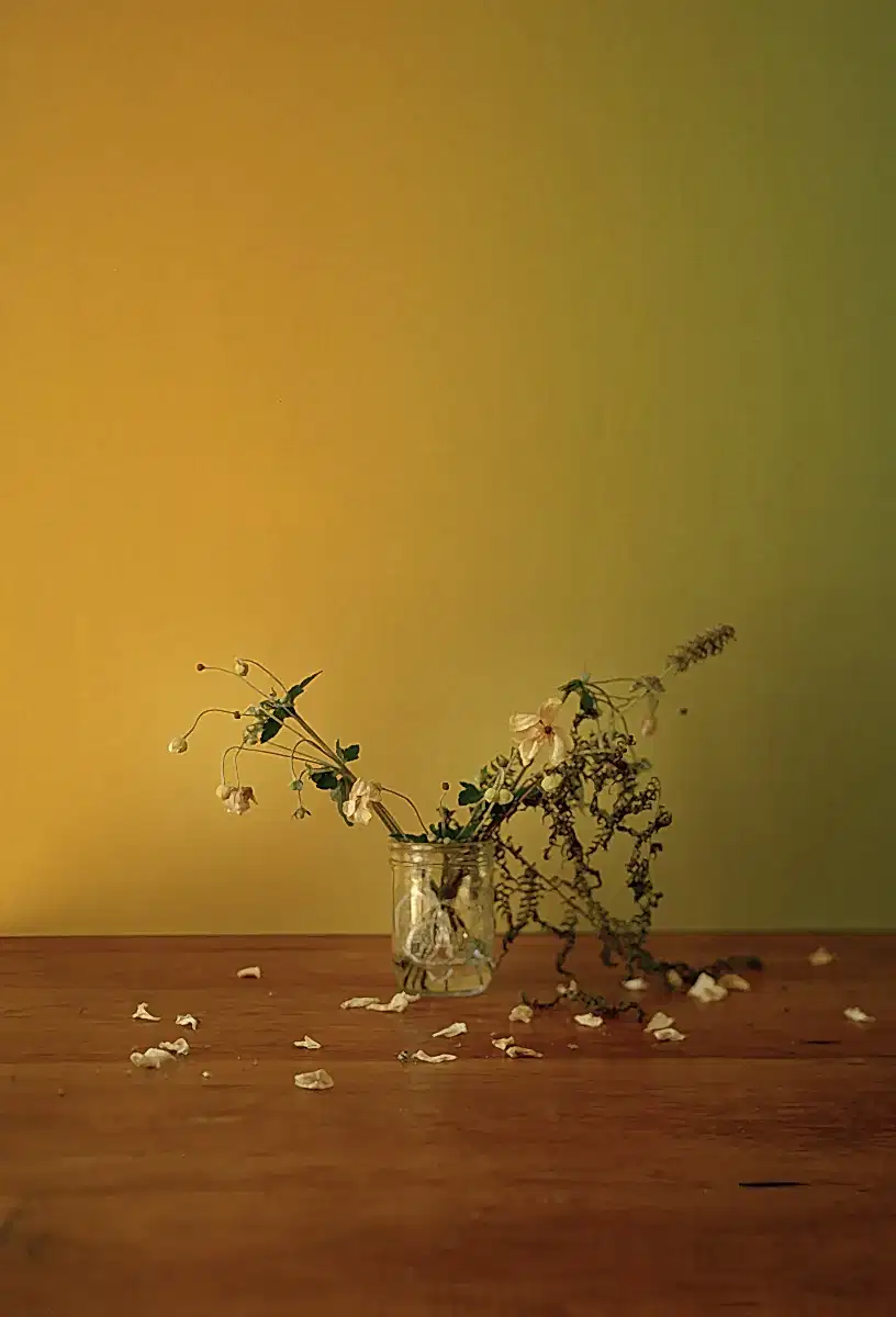 Flowers from Connor - Triptych