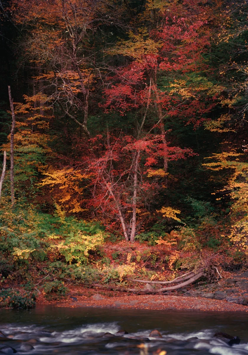 Autumn Landscapes