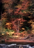 Autumn by the River in Vermont