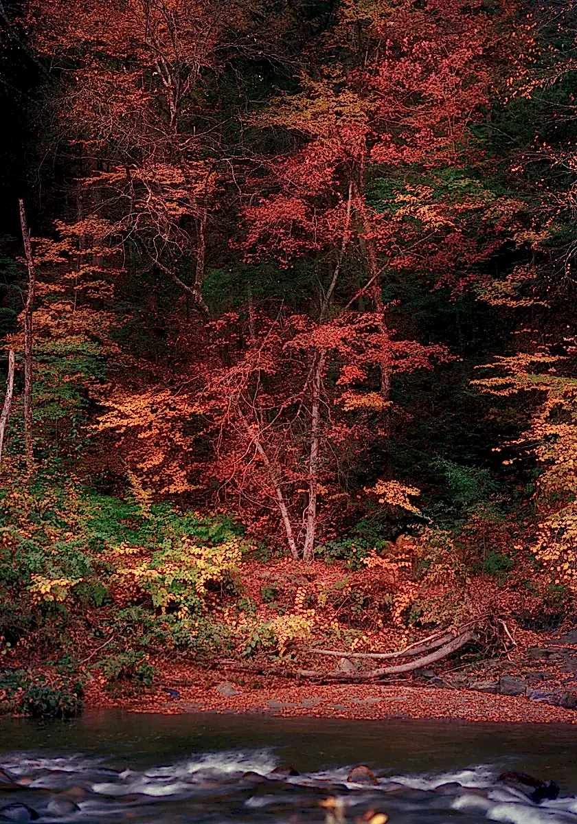 Autumn by the River in Vermont