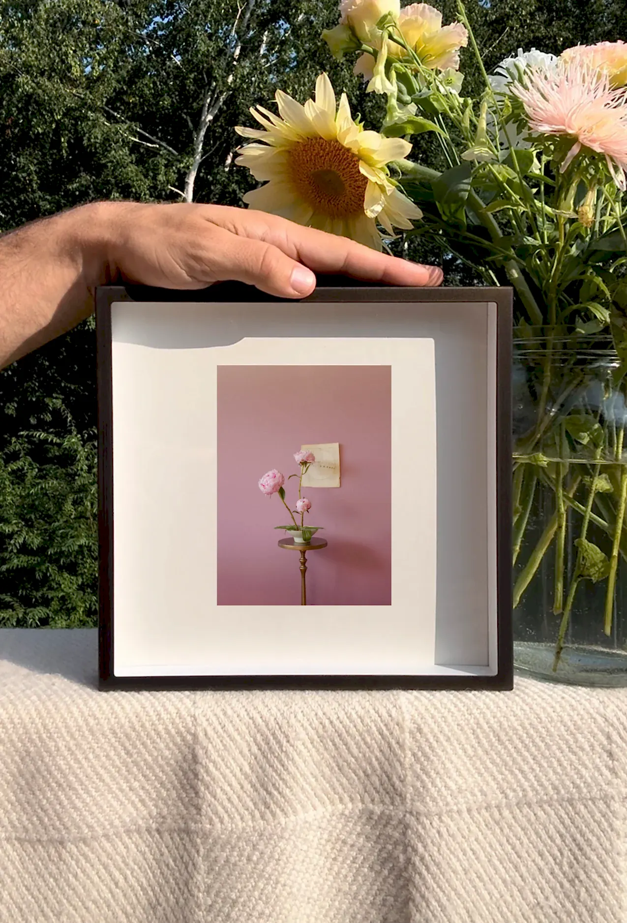 Peonies Opening Triptych
