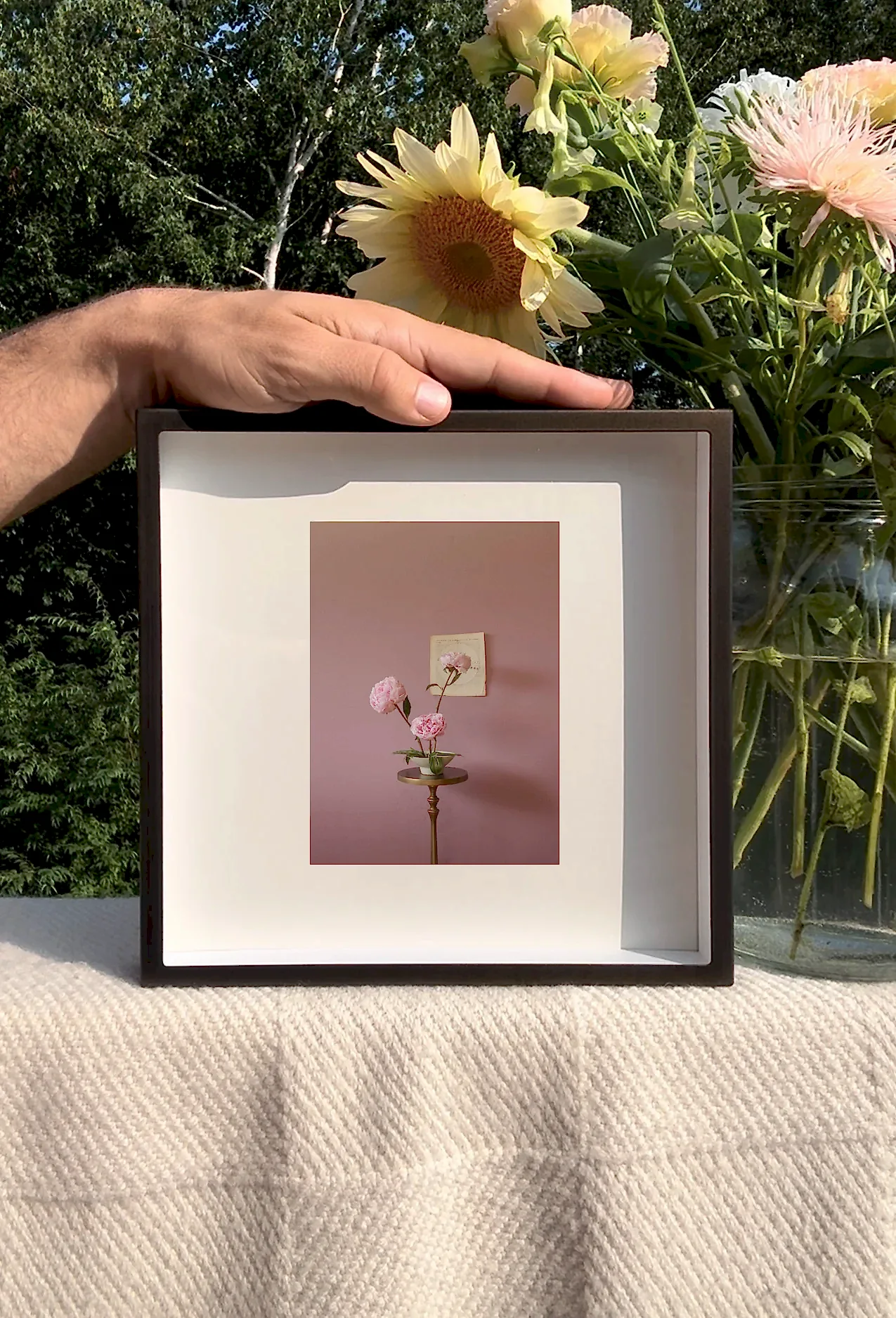 Peonies Opening Triptych