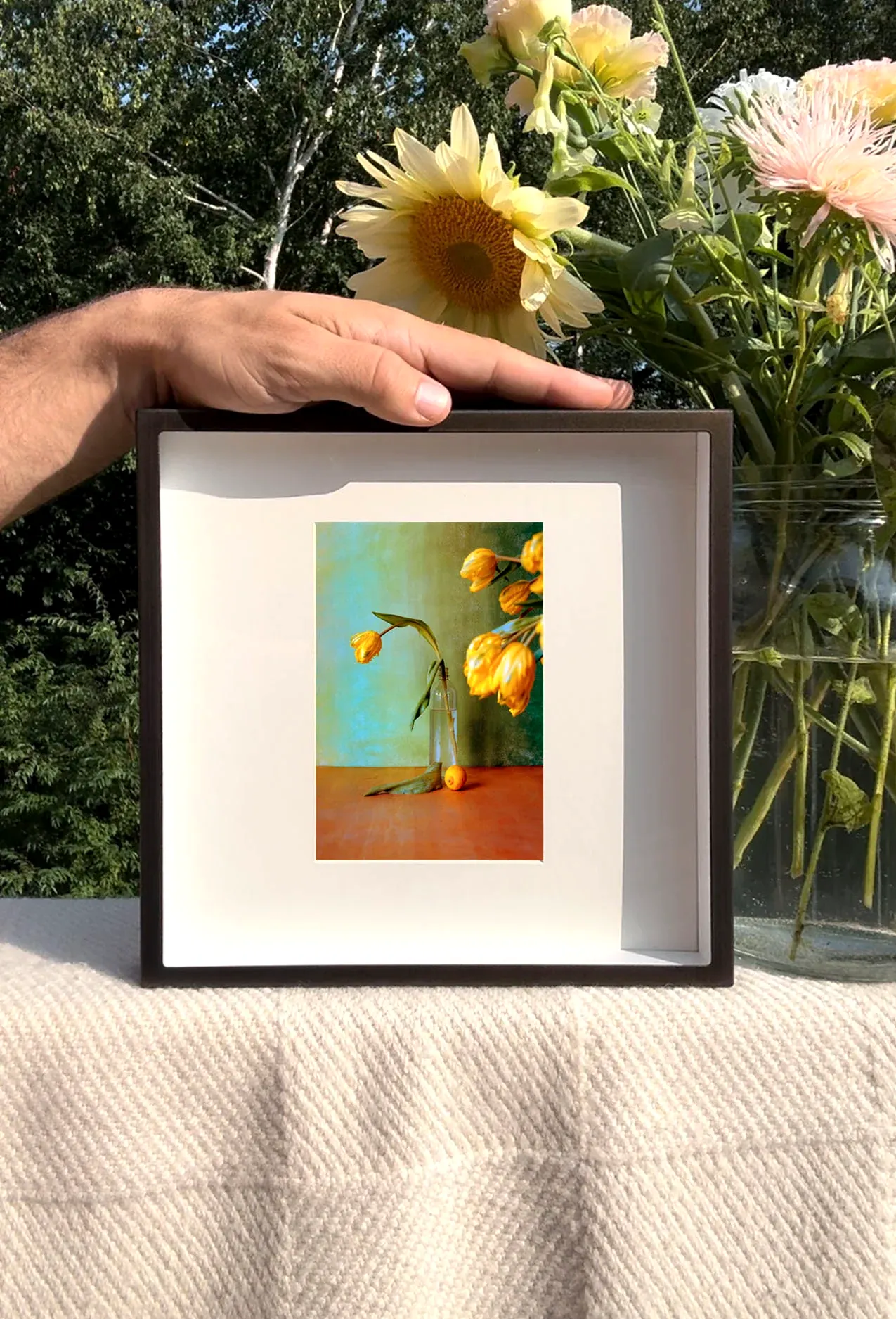 Yellow Tulips - Triptychs