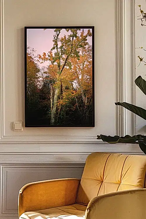 Autumnal Tree in Vermont