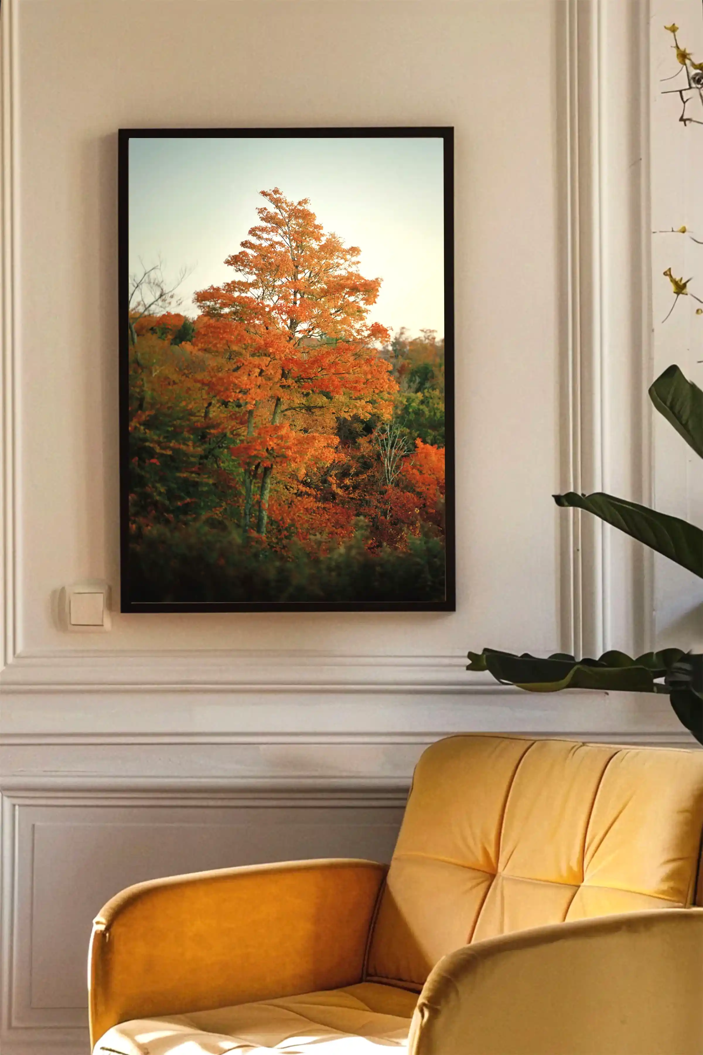 Maple Tree at Sunrise