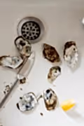 Oysters - Triptych