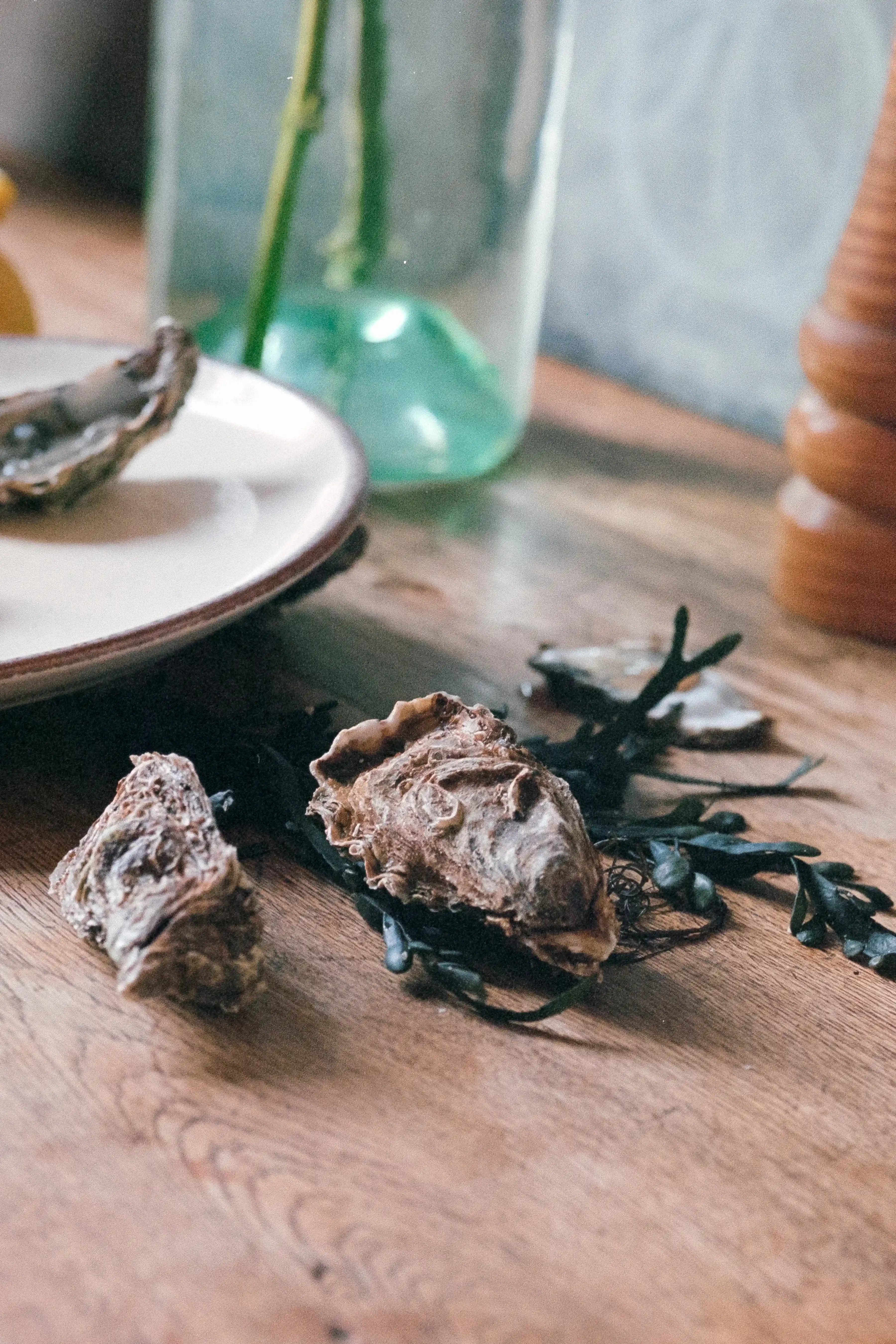 Oysters - Triptych