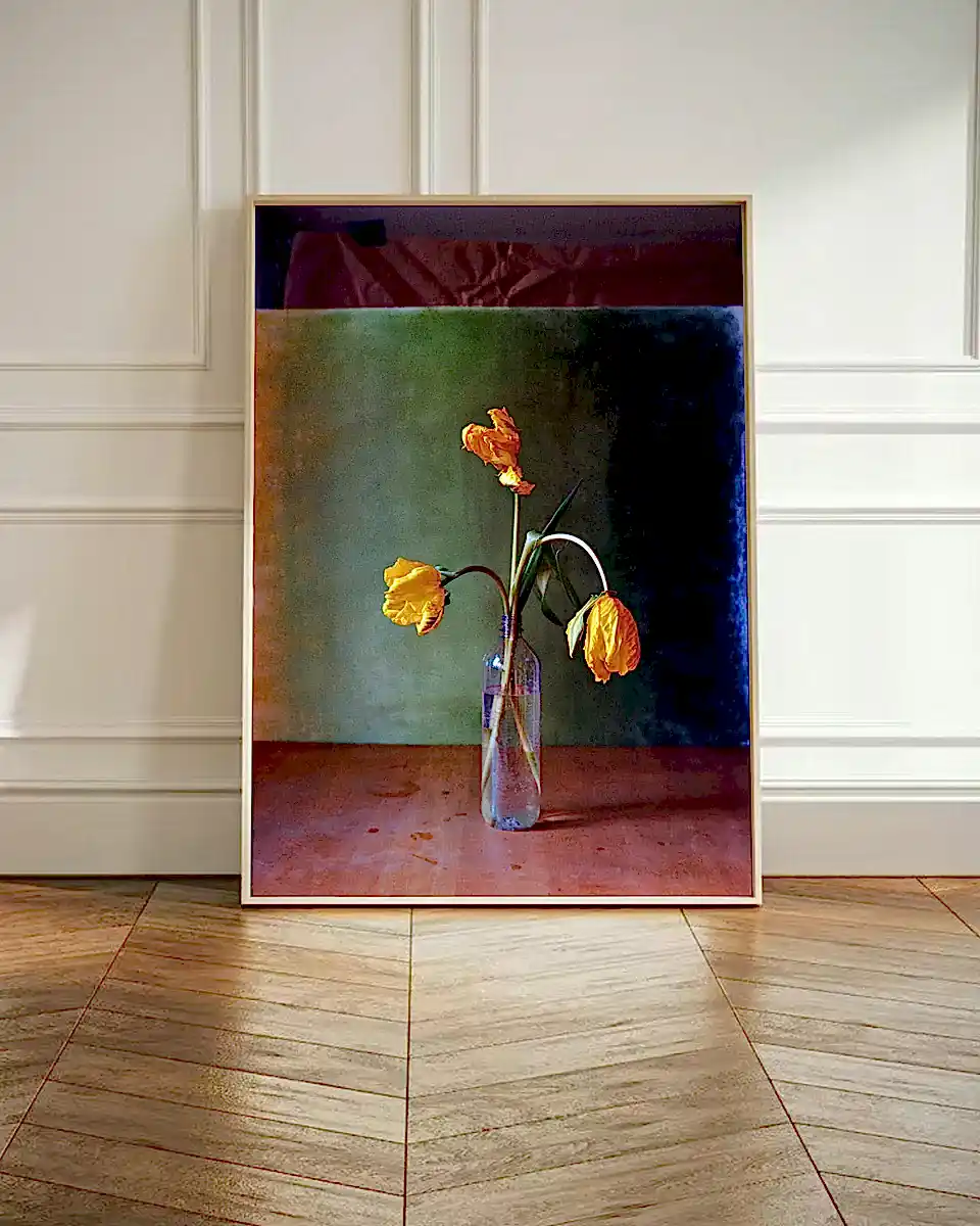 Yellow Tulips