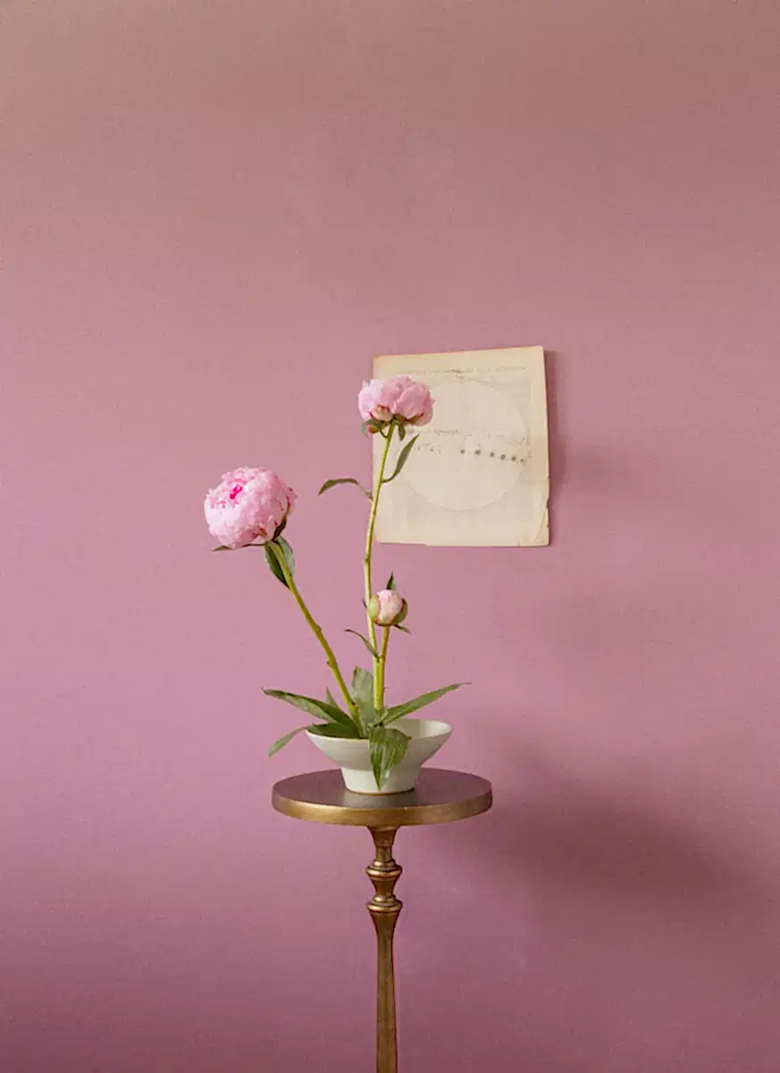 Peonies Opening Triptych