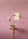 Peonies Opening Triptych