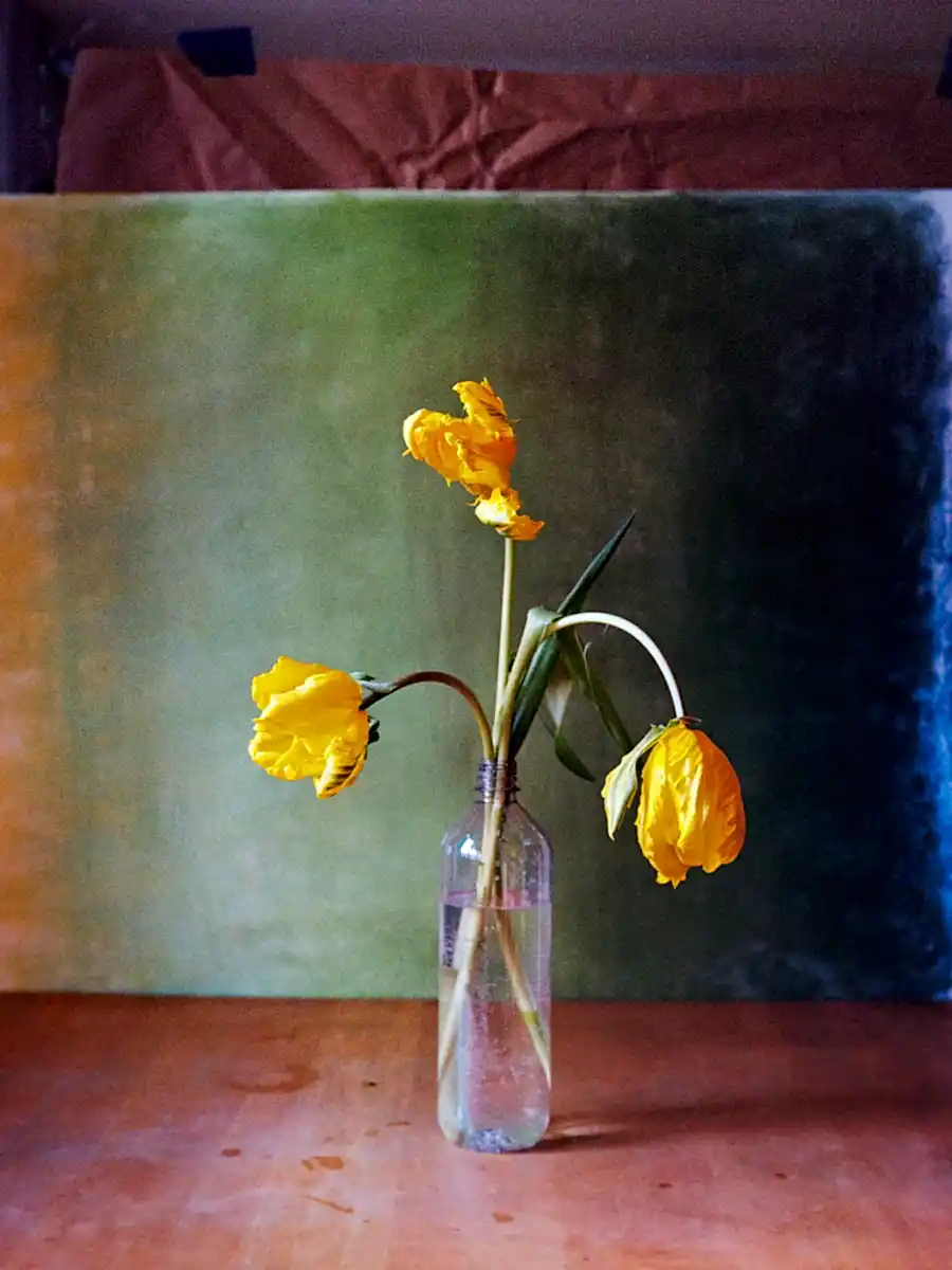 Yellow Tulips